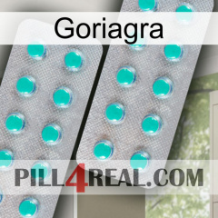 Goriagra 29